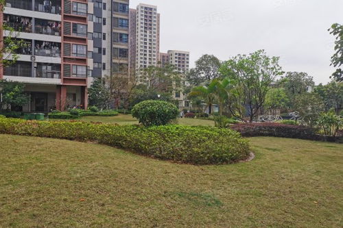 中惠松湖城深度解析 樓盤優勢、不足與周邊中介評價指南